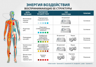 СКЭНАР-1-НТ (исполнение 01)  в Солнечногорске купить Медицинский интернет магазин - denaskardio.ru 